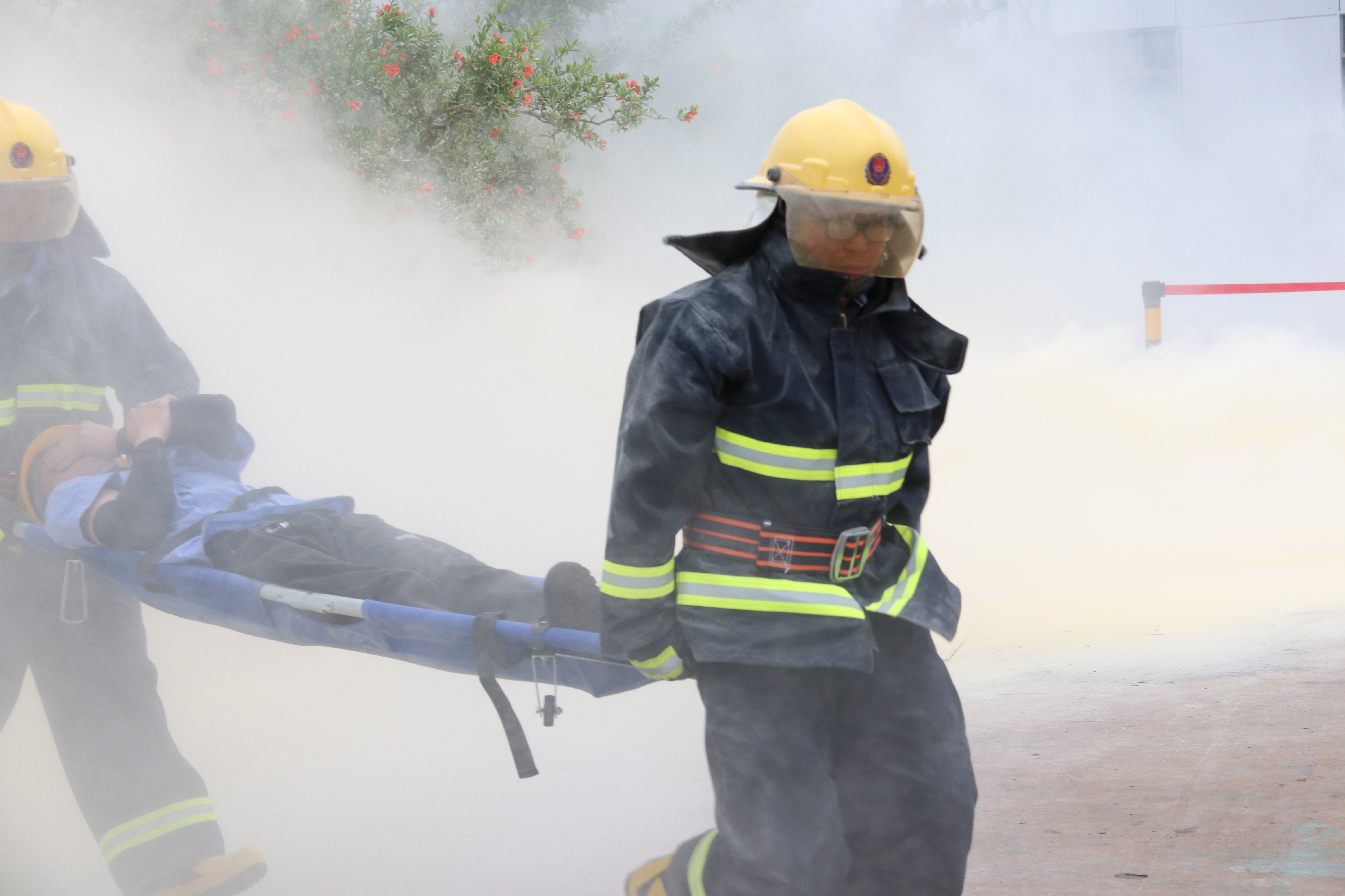 IMG_1157.JPG IMG_1157.JPG